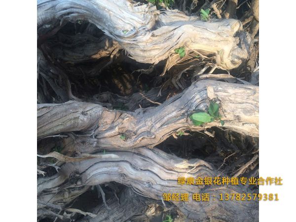 五年以上 五年以上