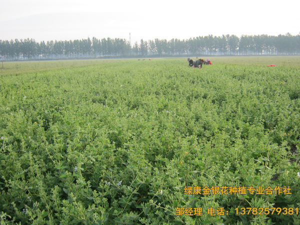 2017年新品 2017年新品