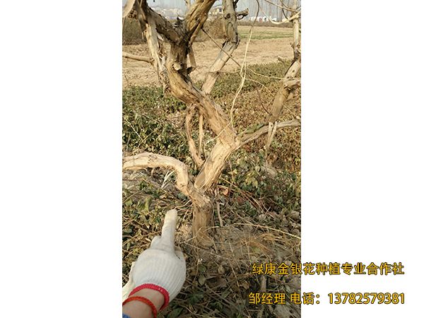 2018年新品 2018年新品