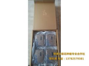 金銀花成品包裝