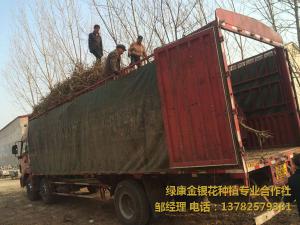 2016年11月份發(fā)貨