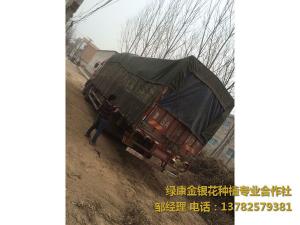 2016年11月份發(fā)貨