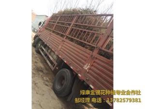 2016年11月份發貨